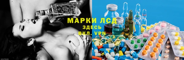 apvp Алзамай