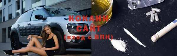 индика Алексеевка