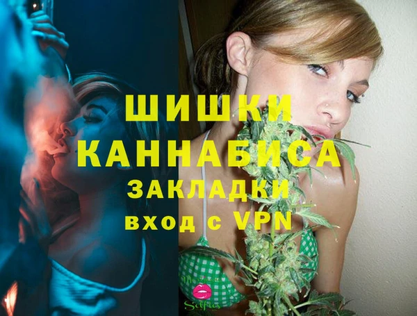 индика Алексеевка