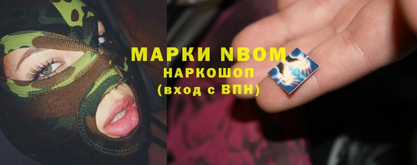 apvp Алзамай