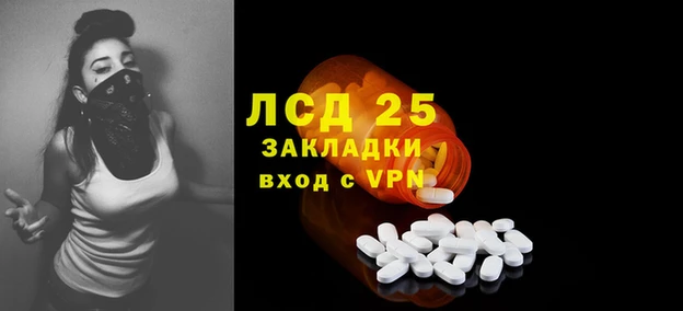 индика Алексеевка